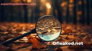 The Unveiling of Ofleaked.net: Navigating Leaked Content Platforms