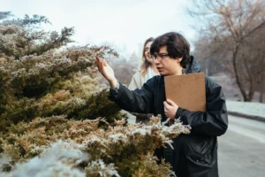 Exploring MyHaiku: Your Gateway to Haiku Poetry